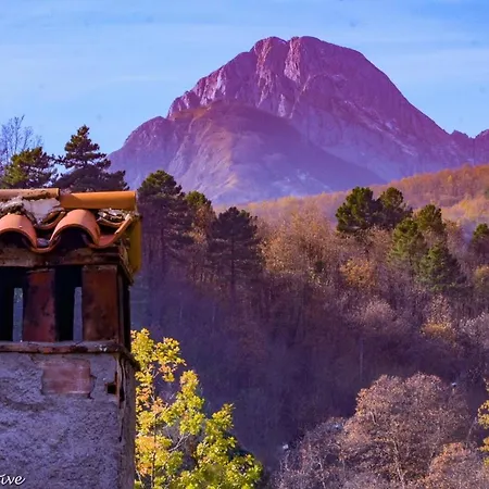 Vicinato Homestead Villa Molazzana