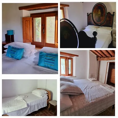 Vicinato Homestead Molazzana