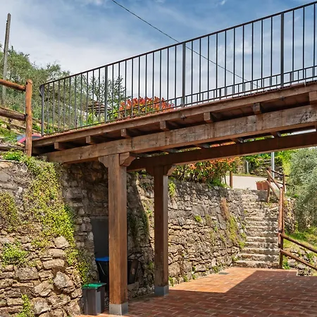Vicinato Homestead فيلة