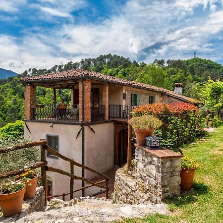 Vicinato Homestead Molazzana
