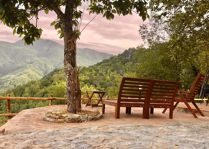 Вилла Vicinato Homestead *