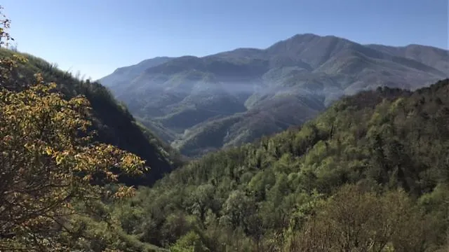 Вилла Vicinato Homestead *